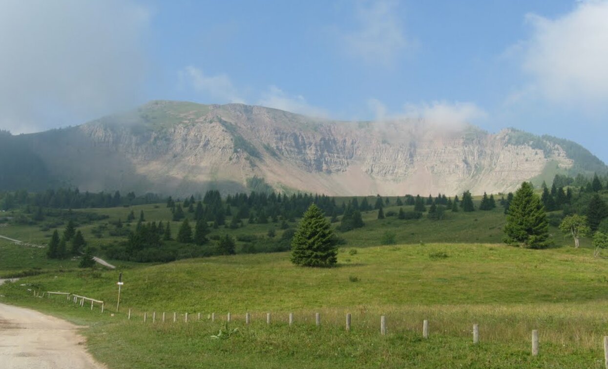 Monte Peller | © Sergio Battistini, APT - Valli di Sole, Peio e Rabbi