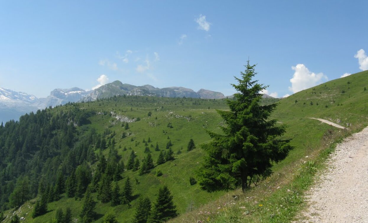 Verso Malga Tassulla | © Sergio Battistini, APT - Valli di Sole, Peio e Rabbi