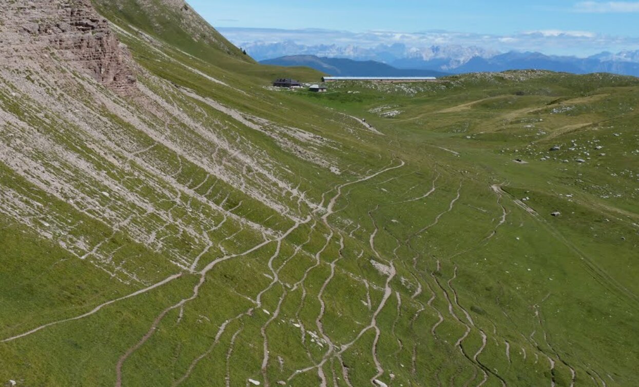 Da Passo Forcola | © Sergio Battistini, APT - Valli di Sole, Peio e Rabbi