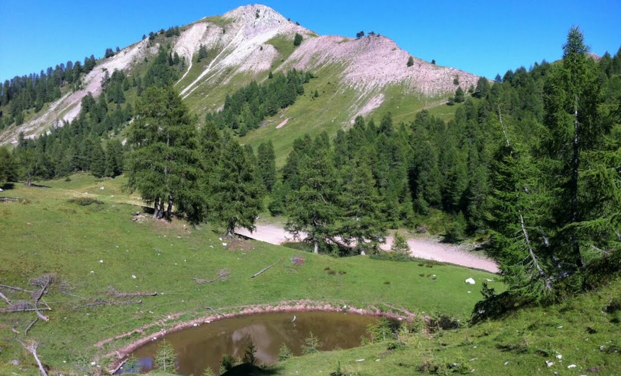 Lago Salare | © Sergio Battistini, APT - Valli di Sole, Peio e Rabbi