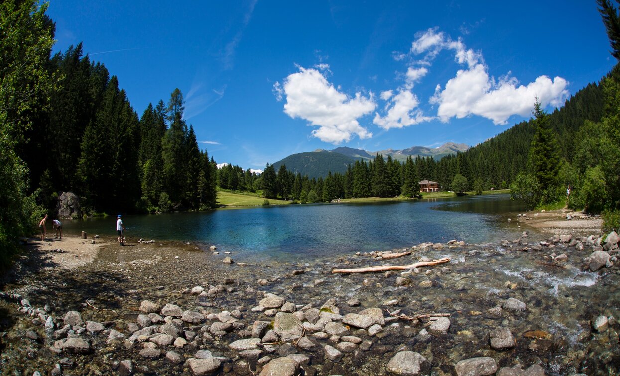 © Foto Matteo Cappè , APT - Valli di Sole, Peio e Rabbi