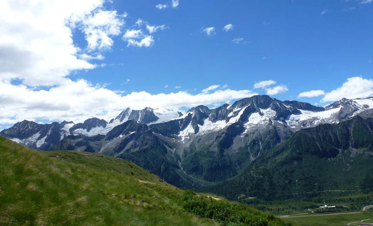 Monte Tonale Orientale | © Ph Guide Alpine Val di Sole, APT Valli di Sole, Peio e Rabbi