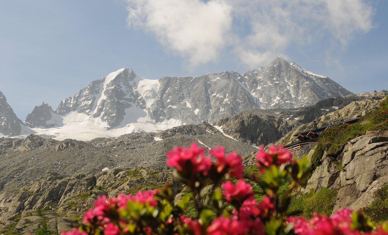 Cima Presanella peak | © Ph Mochen Tiziano, APT Valli di Sole, Peio e Rabbi