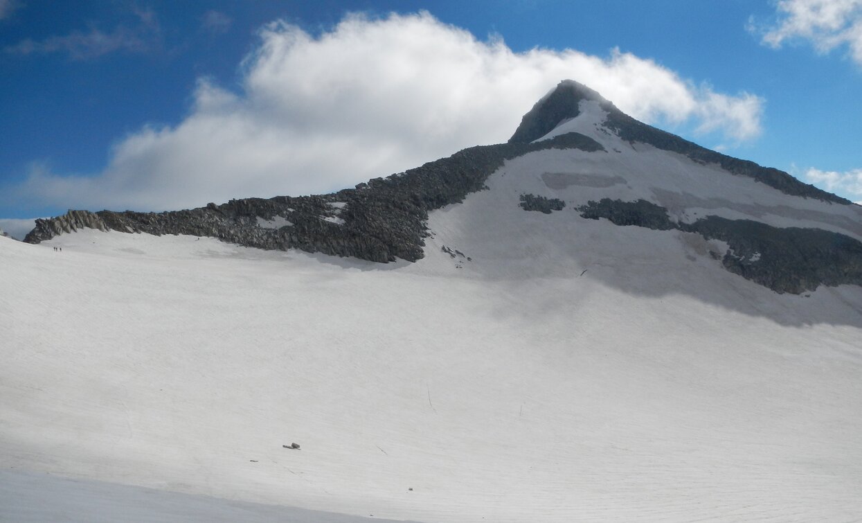 Gipfel Presanella | © Ph Guide Alpine Val di Sole, APT - Valli di Sole, Peio e Rabbi