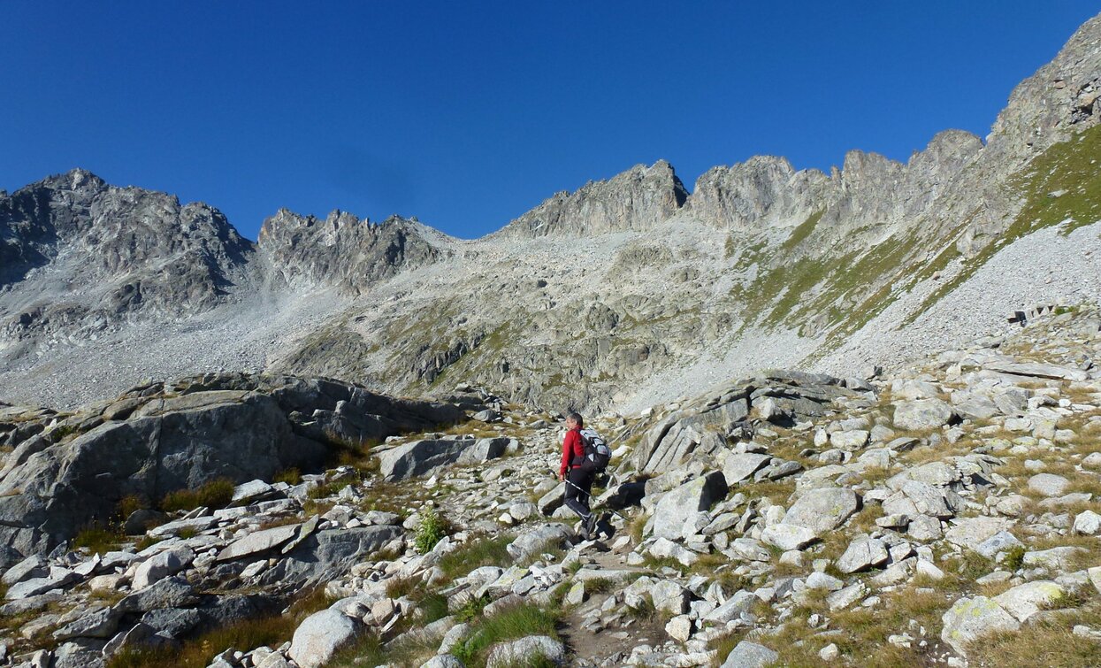 Sentiero dei Fiori «Flower Trail» | © Ph Guide Alpine Val di Sole, APT Valli di Sole, Peio e Rabbi