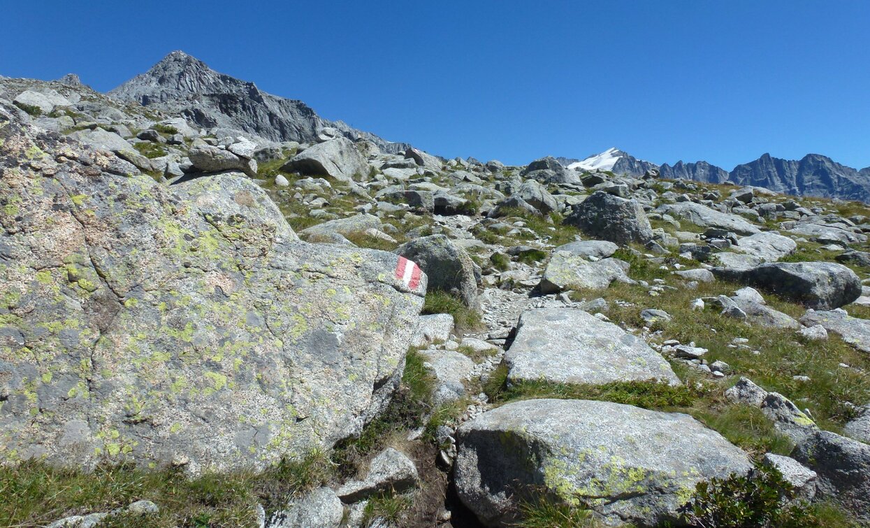 Trekking dell’Adamello-Presanella | © Ph Guide Alpine Val di Sole, APT Valli di Sole, Peio e Rabbi