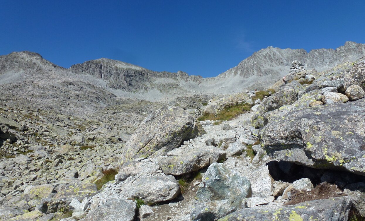 Trekking Adamello-Presanella | © Ph Guide Alpine Val di Sole, APT Valli di Sole, Peio e Rabbi