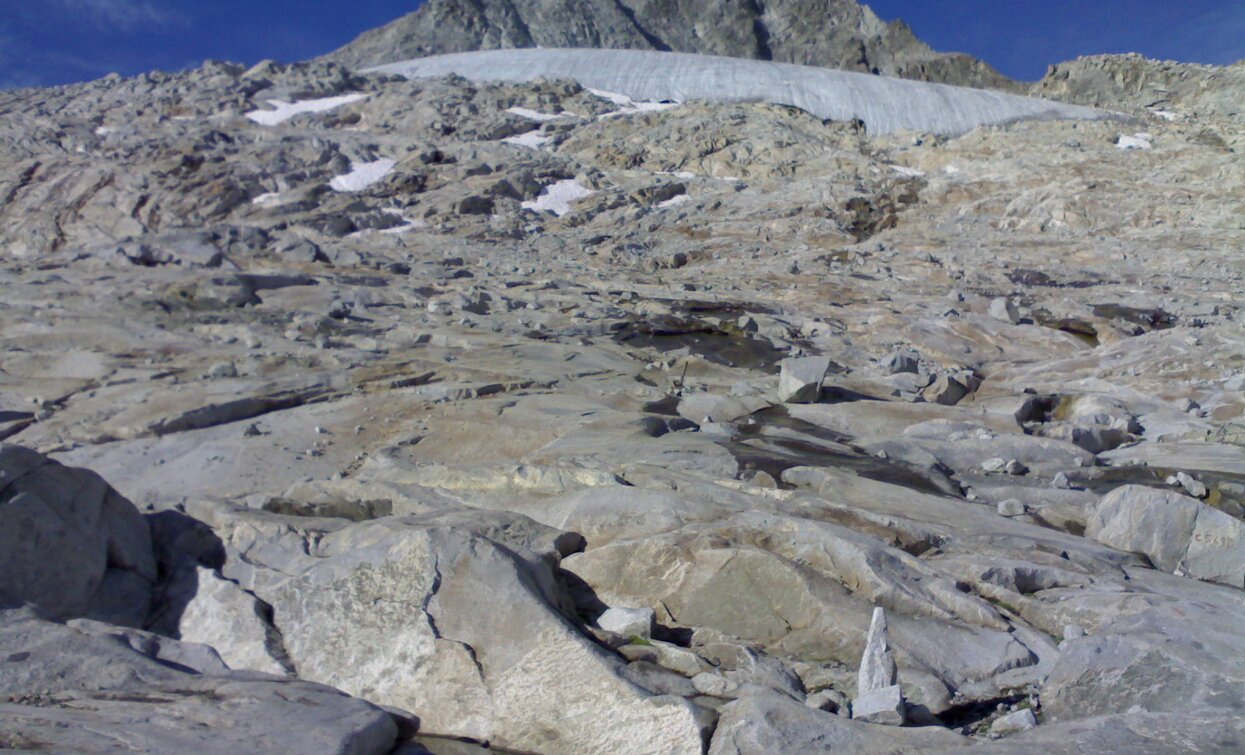 Trekking dell’Adamello-Presanella | © Ph Guide Alpine Val di Sole, APT Valli di Sole, Peio e Rabbi