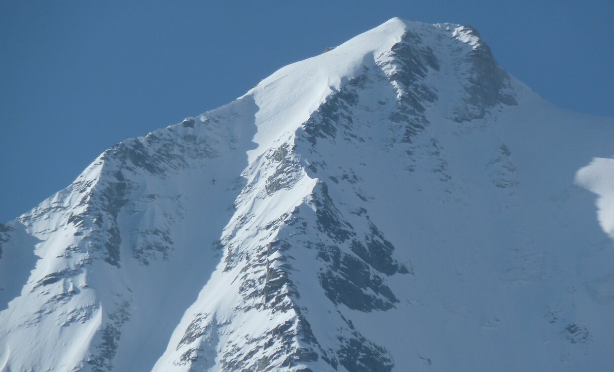 Trekking dell’Adamello-Presanella | © Ph Guide Alpine Val di Sole, APT Valli di Sole, Peio e Rabbi