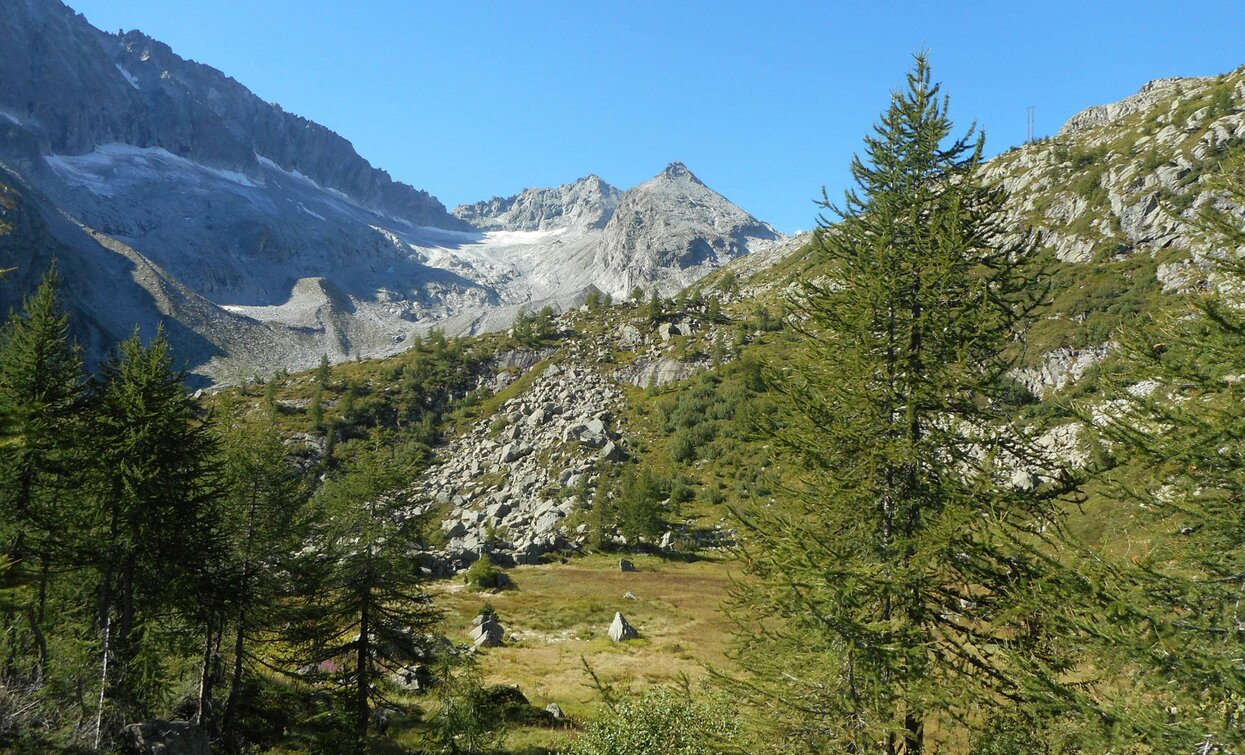 Trekking Adamello-Presanella | © Ph Guide Alpine Val di Sole, APT - Valli di Sole, Peio e Rabbi