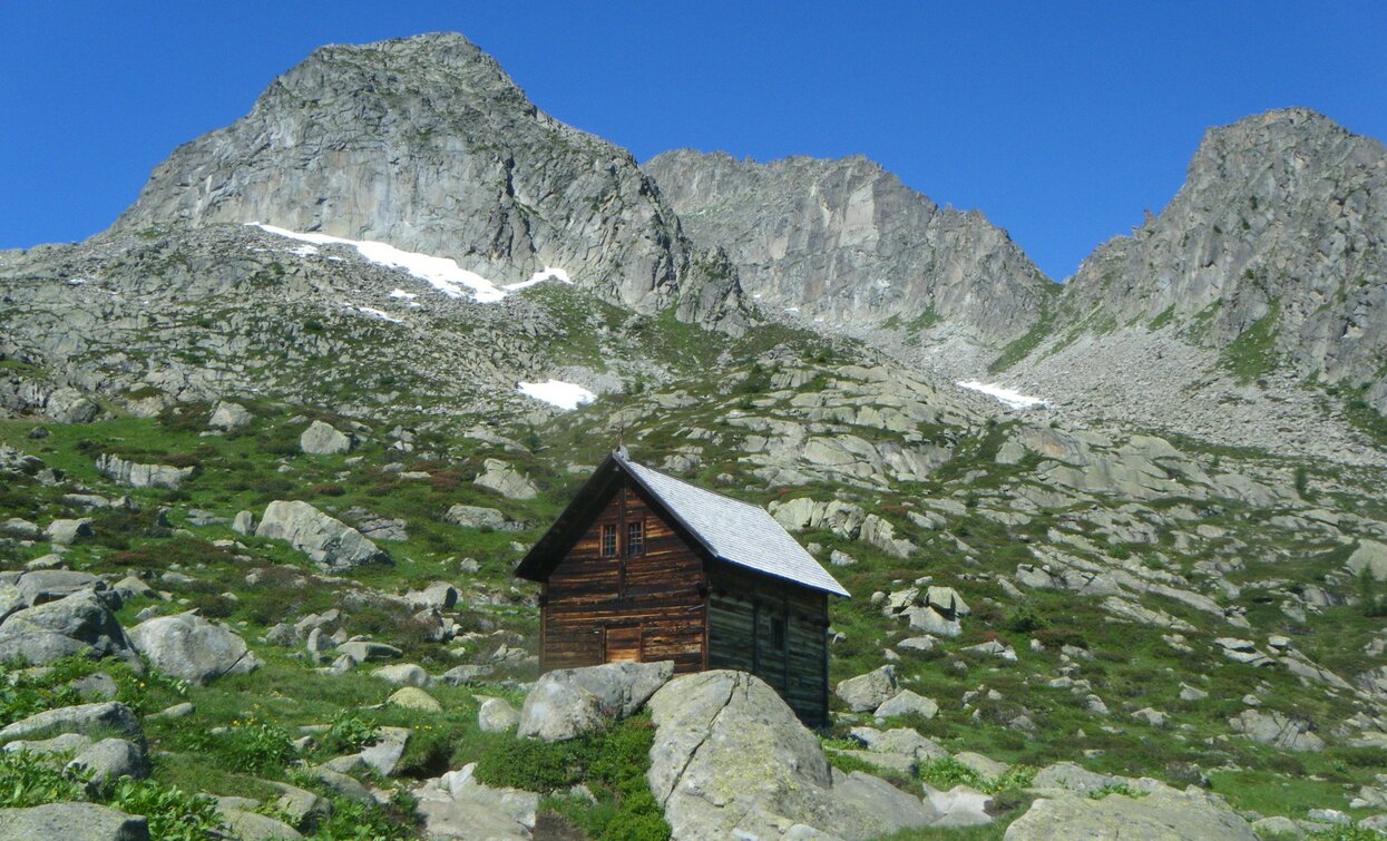 Trekking Adamello-Presanella | © Ph Guide Alpine Val di Sole, APT Valli di Sole, Peio e Rabbi