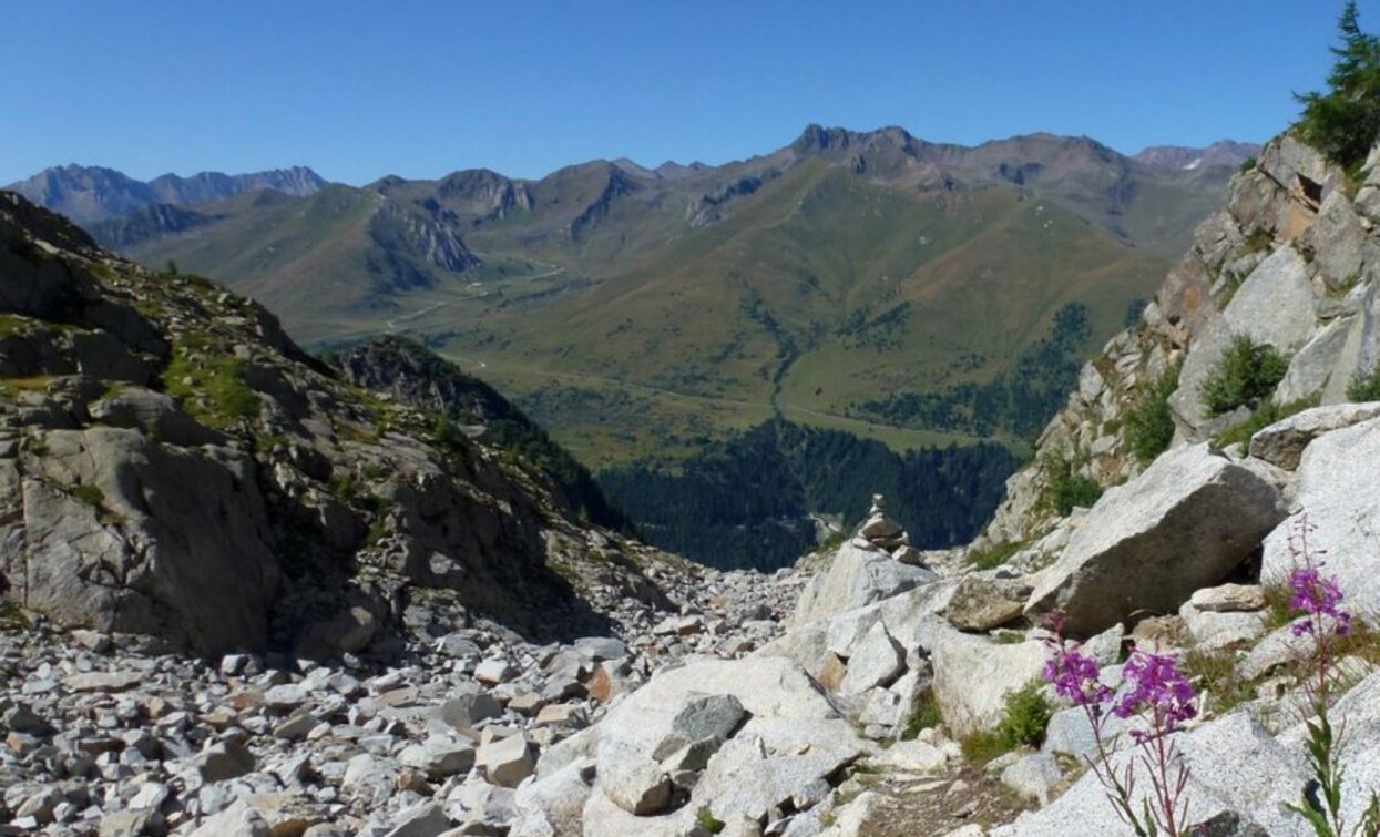 Trekking Adamello-Presanella | © Ph Guide Alpine Val di Sole, APT - Valli di Sole, Peio e Rabbi