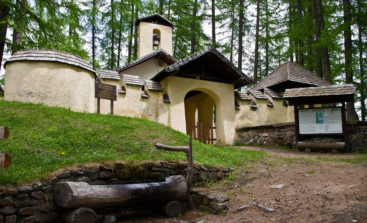 © Parco Nazionale dello Stelvio (settore Trentino)