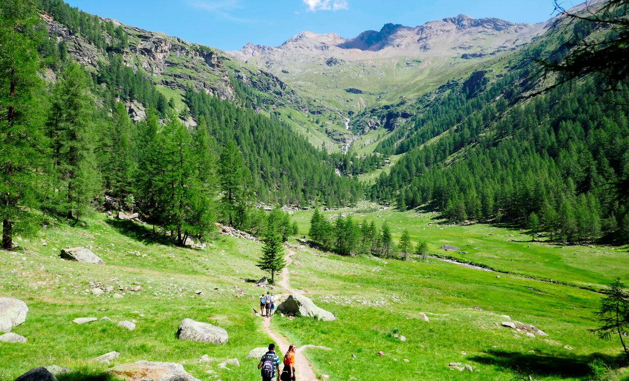 Il Prà di Saènt, luogo magico lungo il percorso | © Parco Nazionale dello Stelvio (settore Trentino)