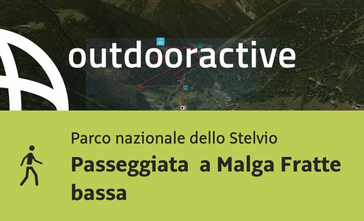 Passeggiata in Trentino: Passeggiata a Malga Fratte bassa | © Outdooractive – Flyover Videos