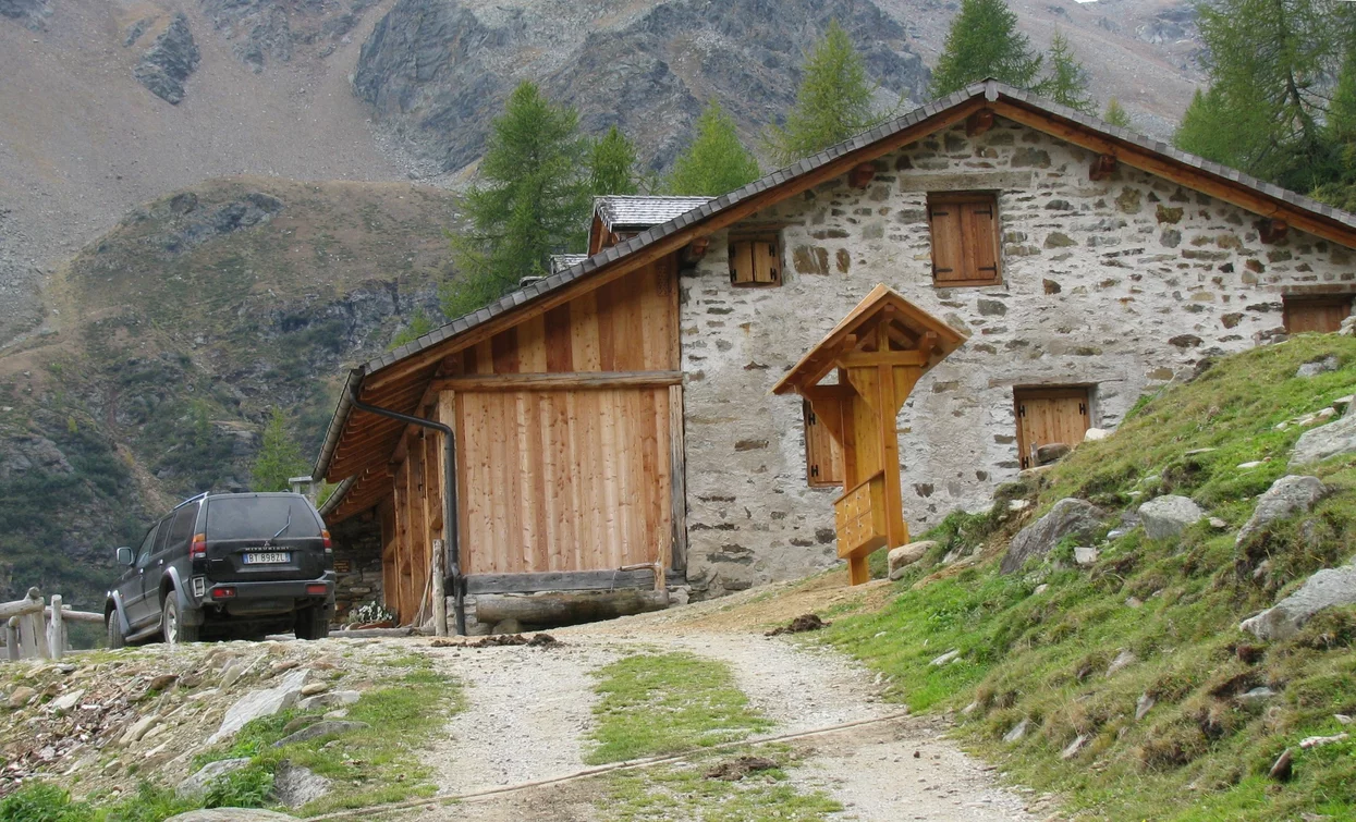 © Dorino Moreschini, Parco Nazionale dello Stelvio (settore Trentino)