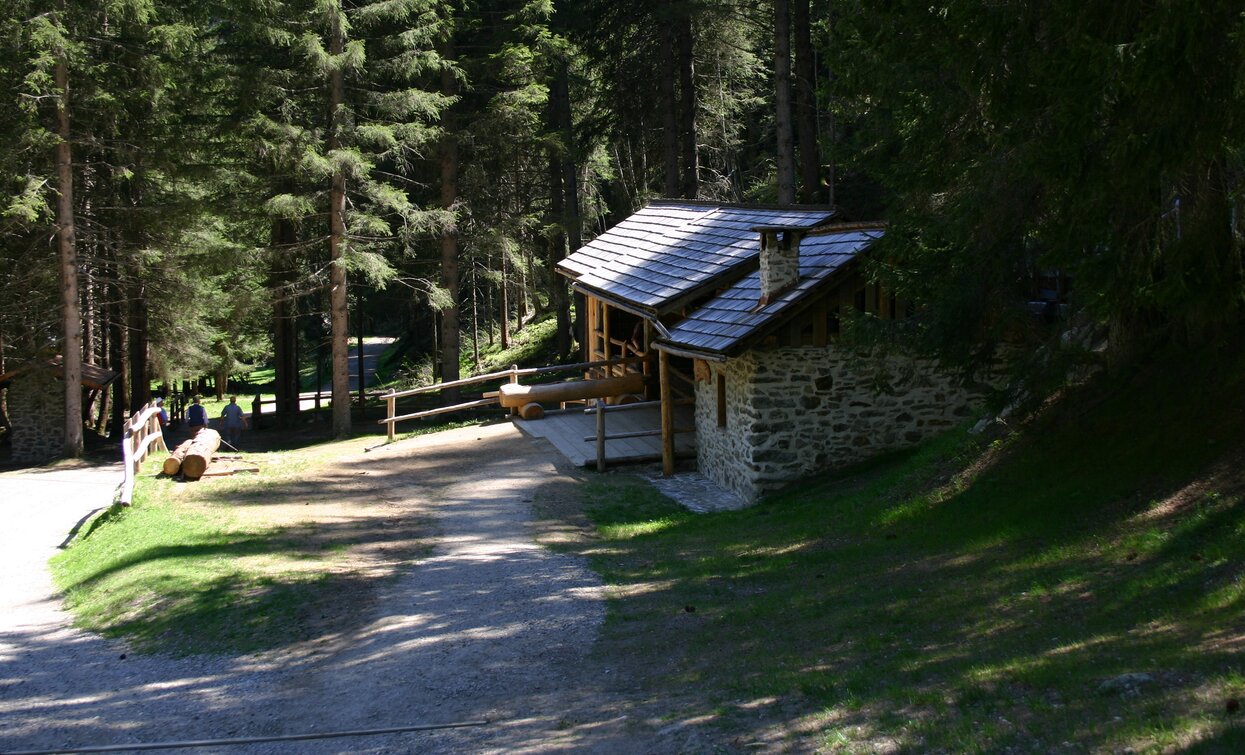 © Dorino Moreschini, Parco Nazionale dello Stelvio (settore Trentino)