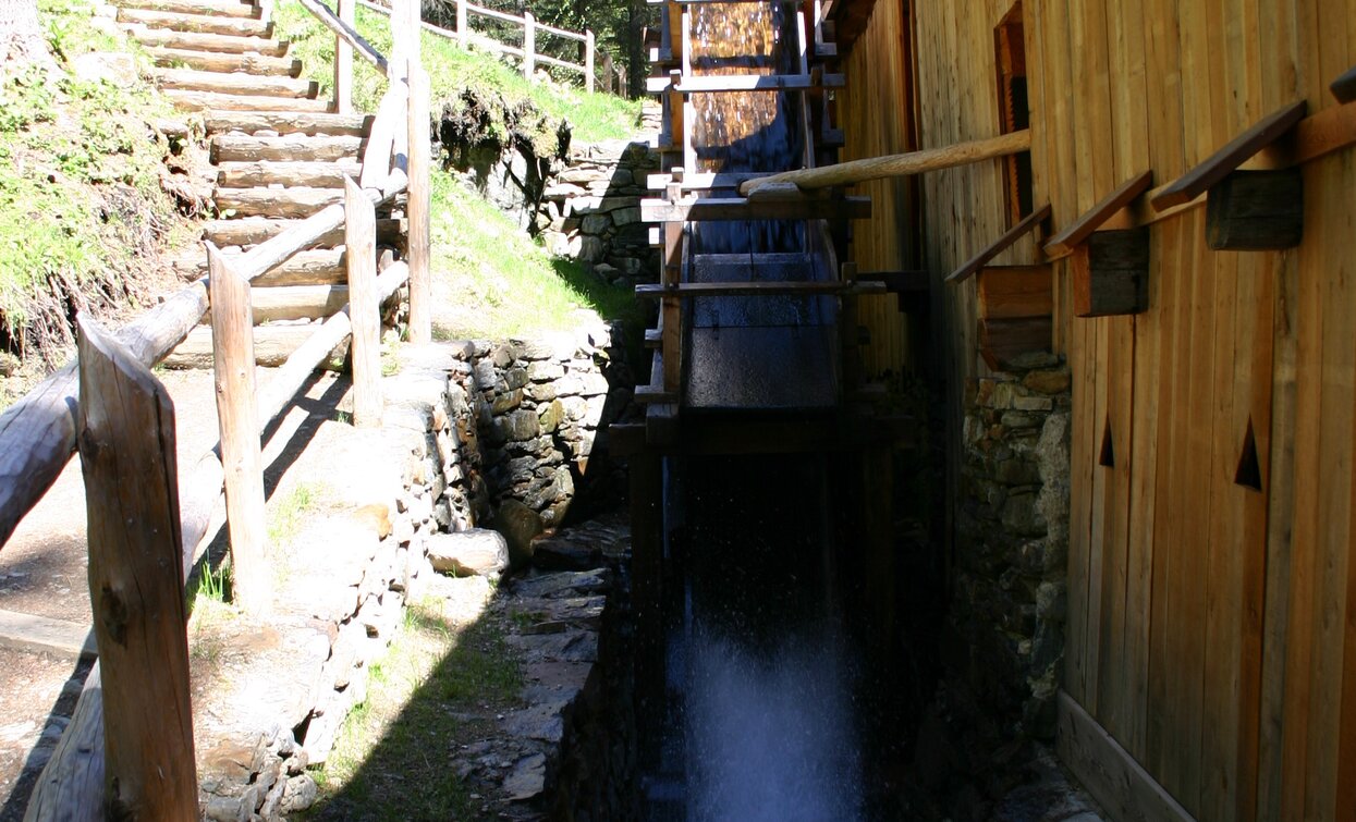 © Dorino Moreschini, Parco Nazionale dello Stelvio (settore Trentino)