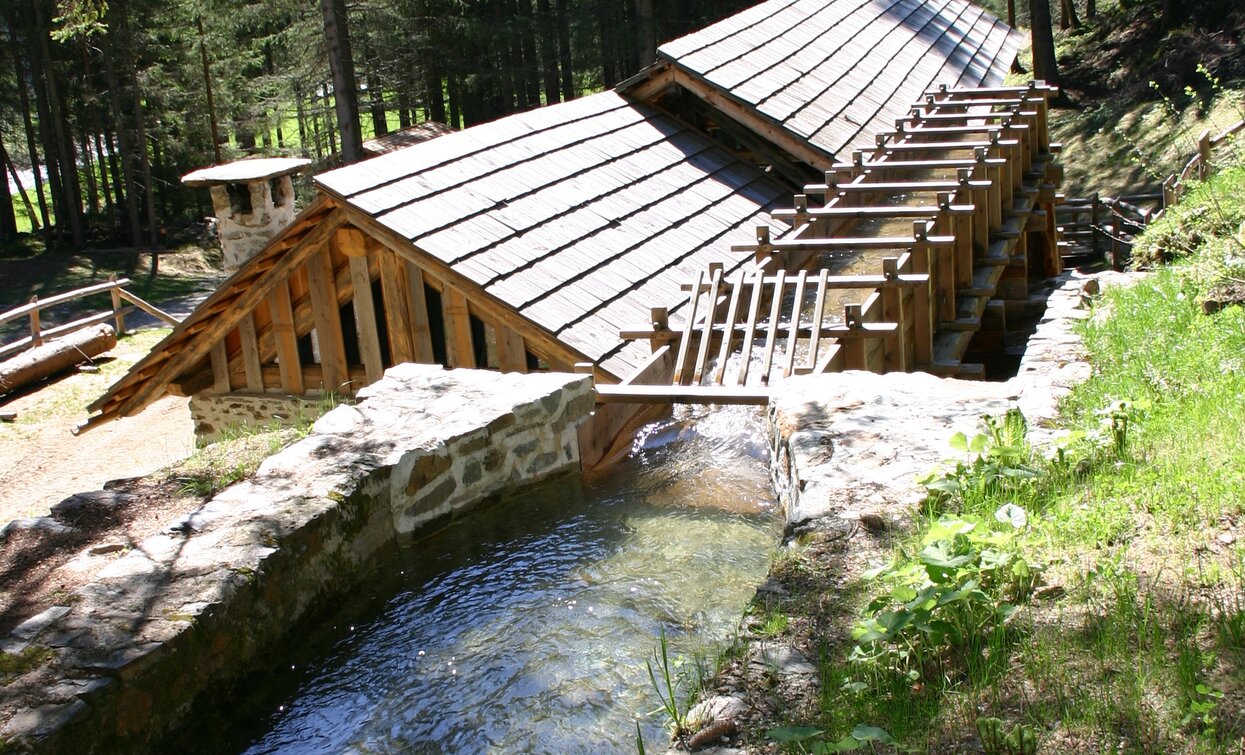 © Dorino Moreschini, Parco Nazionale dello Stelvio (settore Trentino)