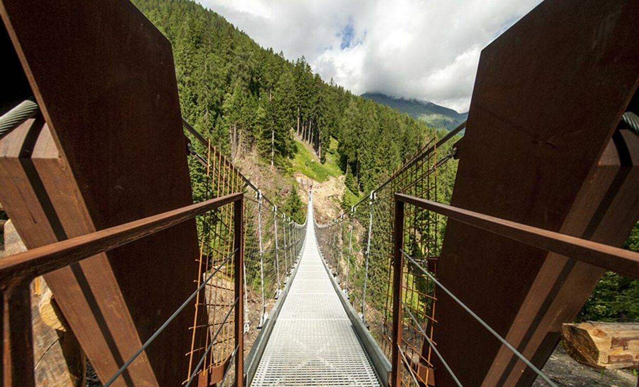 © Dorino Moreschini, Parco Nazionale dello Stelvio (settore Trentino)