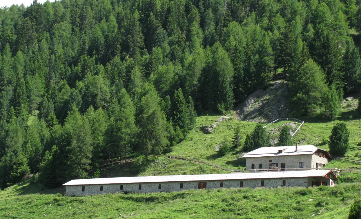 Malga Levi | © Parco Nazionale dello Stelvio (settore Trentino)