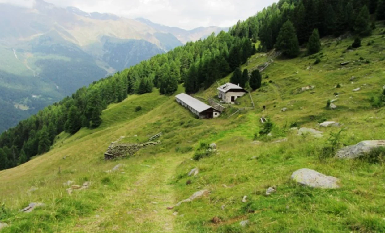 © Dorino Moreschini, Parco Nazionale dello Stelvio (settore Trentino)