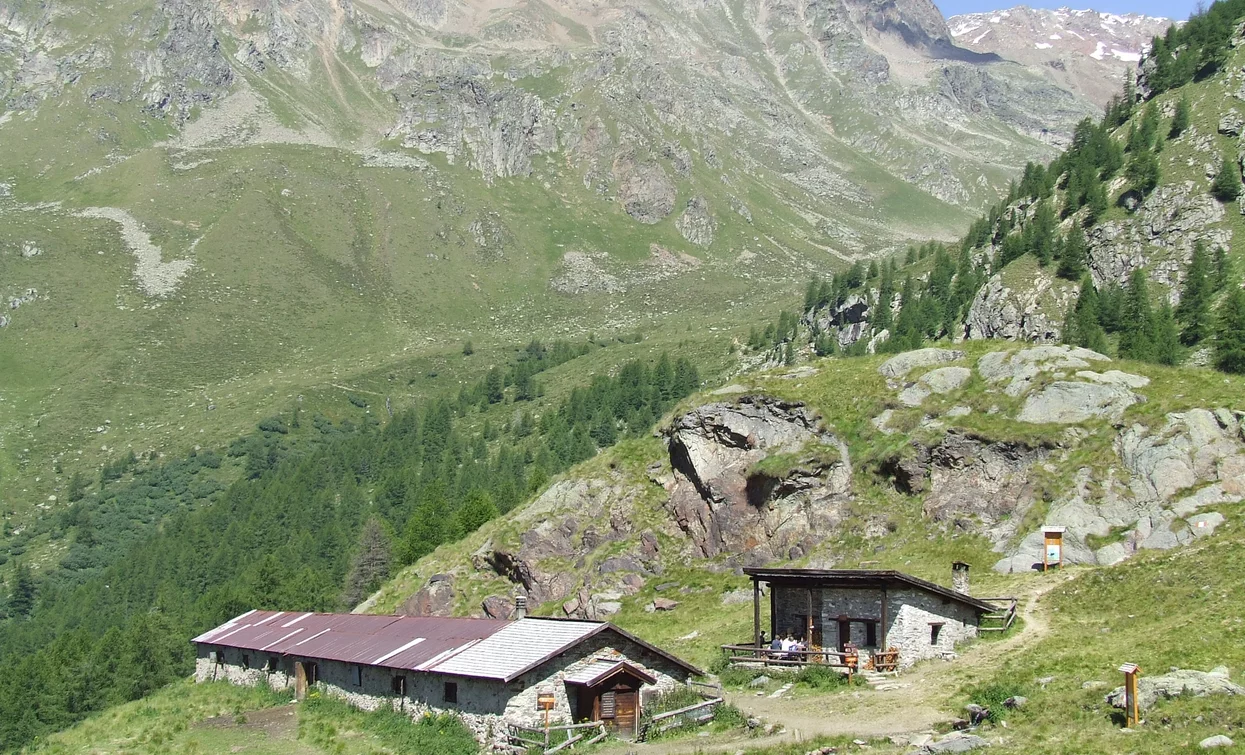 © Dorino Moreschini, Parco Nazionale dello Stelvio (settore Trentino)