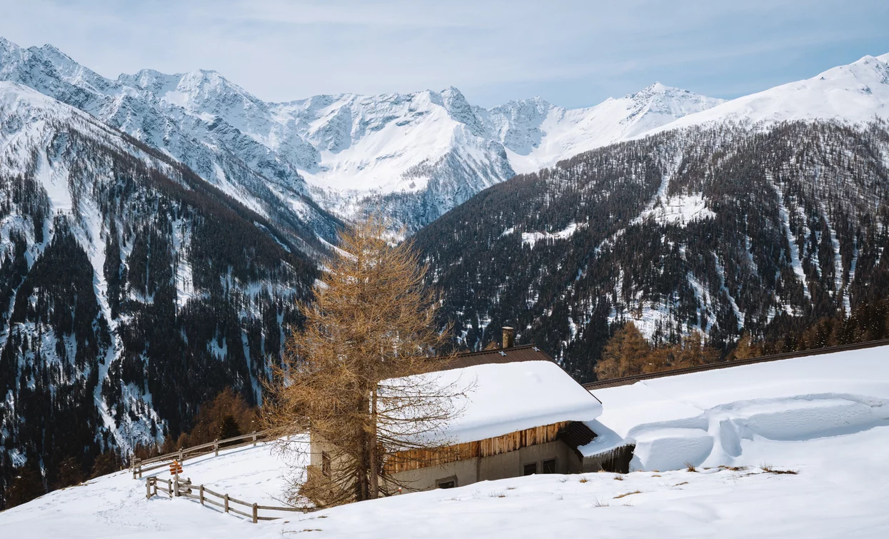 Con le racchette da neve tra le Malghe della Val di rabbi nel parco Nazionale dello Stelvio | © Nicola Cagol, APT Valli di Sole, Peio e Rabbi