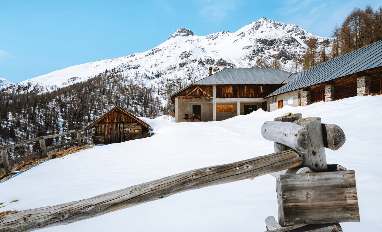 Malga Caldesa Alta in Val di Rabbi | © Nicola Cagol, APT Valli di Sole, Peio e Rabbi