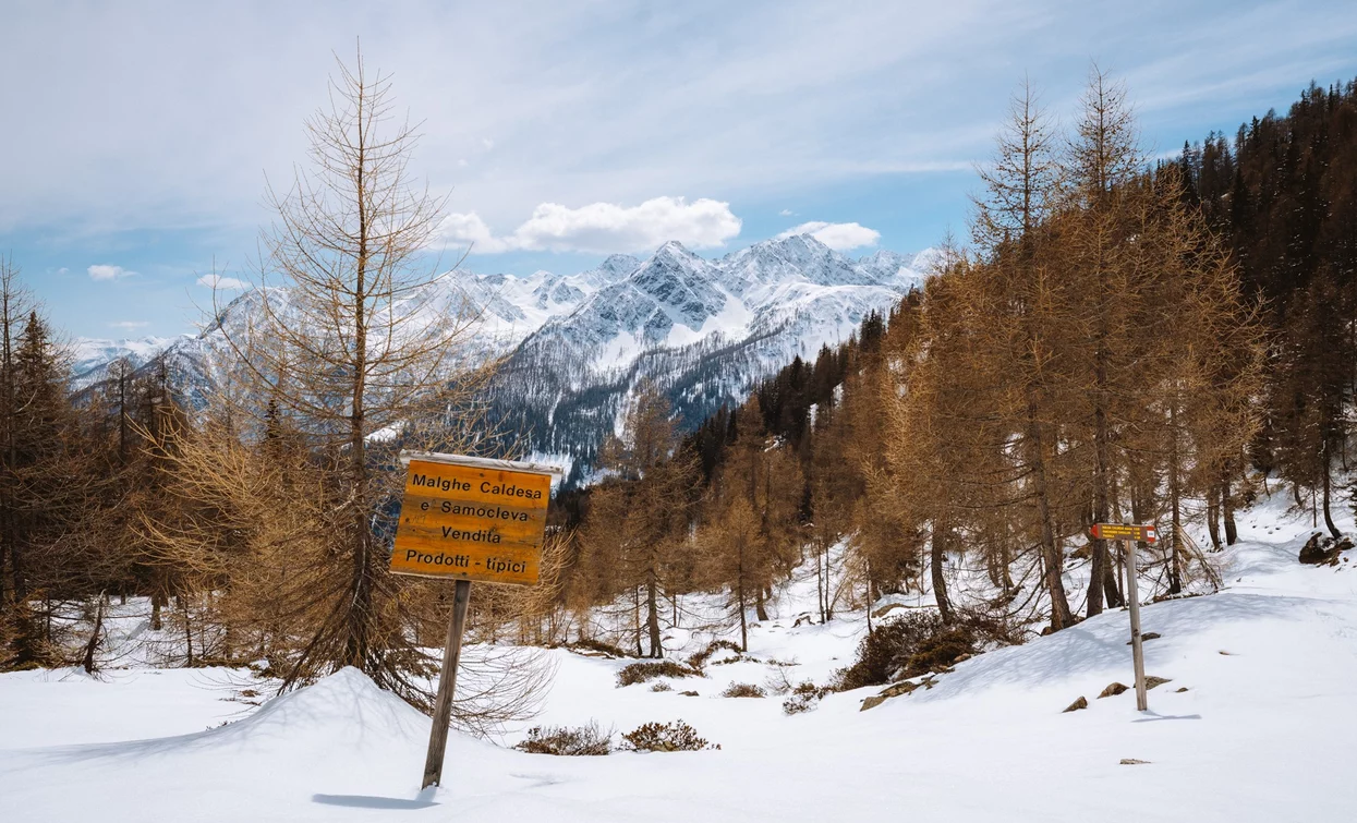 Itinerario ciaspole tra le malghe della Val di Rabbi | © Nicola Cagol, APT Valli di Sole, Peio e Rabbi