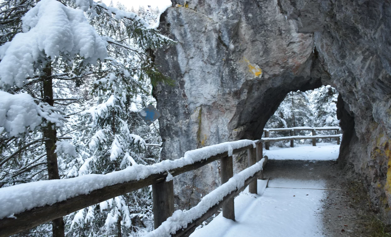 Val Meledrio in Val di Sole | © Dario Andreis, Azienda per Il Turismo Val di Sole 