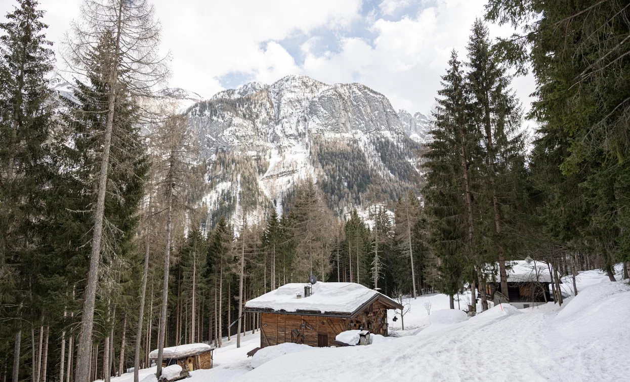 I Masi di Ronzola, Folgarida | © Elisa Fedrizzi, APT Valli di Sole, Peio e Rabbi