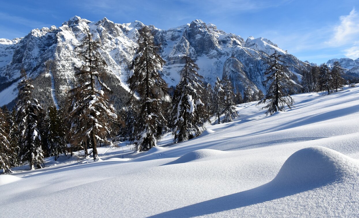 Vista sulle Dolomiti di Brenta | © Dario Andreis, Azienda per Il Turismo Val di Sole