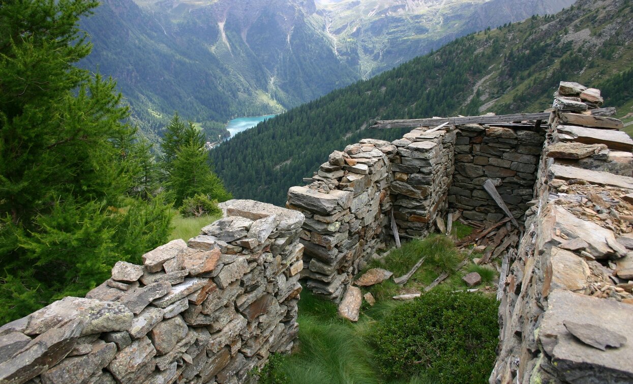 © Parco Stelvio Trentino, Parco Nazionale dello Stelvio (settore Trentino)