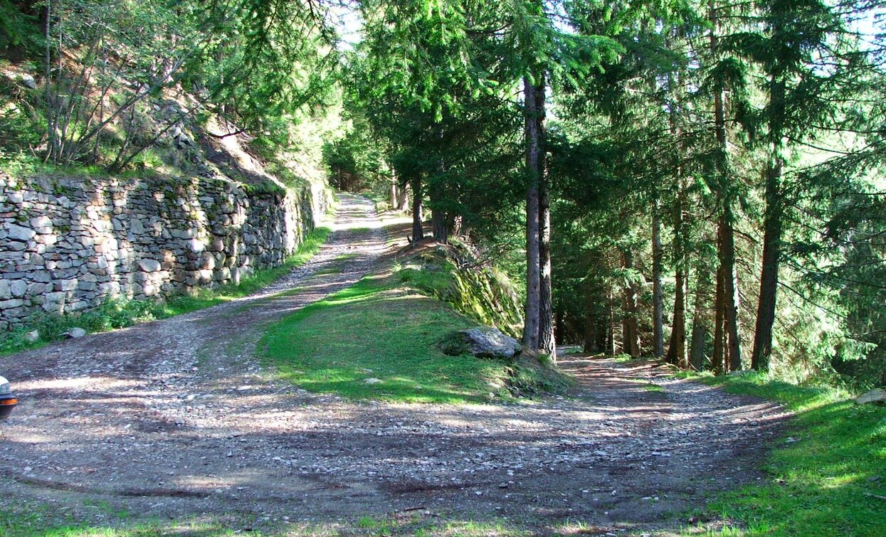 © Parco Stelvio Trentino, Parco Nazionale dello Stelvio (settore Trentino)