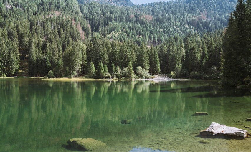 Lago dei Caprioli | © Alice Russolo, APT Valli di Sole, Peio e Rabbi