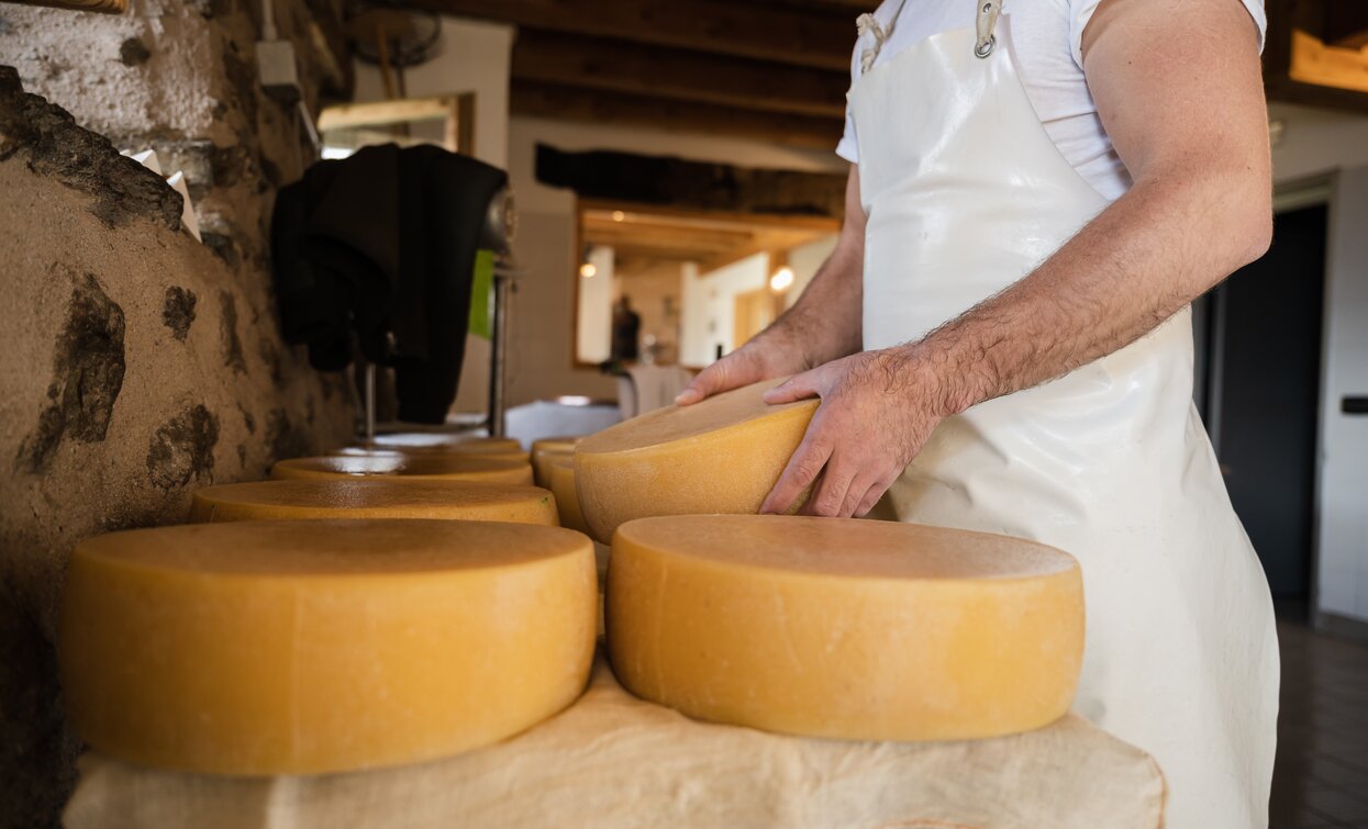 i gustosi formaggi di Malga Campo | © Giacomo Podetti, APT Valli di Sole, Peio e Rabbi