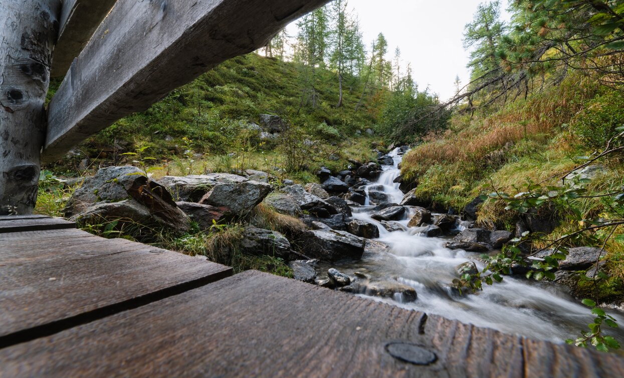 Rio Val Comasine | © Giacomo Podetti, APT Valli di Sole, Peio e Rabbi