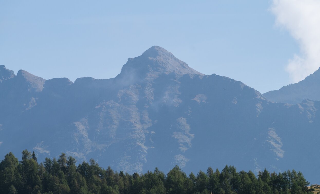 Panorami lungo il percorso per Malga Val Comasine | © Giacomo Podetti, APT Valli di Sole, Peio e Rabbi