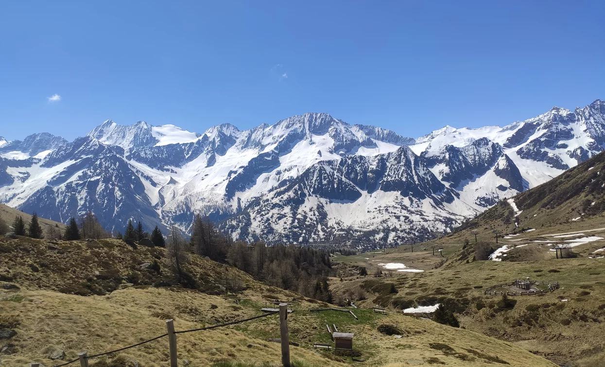 Punto Panoramico | © Archivio Apt Val di Sole,Peio e Rabbi, APT Valli di Sole, Peio e Rabbi