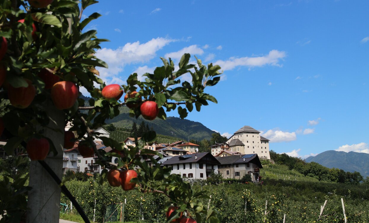 © Azienda Turismo Val di Sole, APT - Valli di Sole, Peio e Rabbi