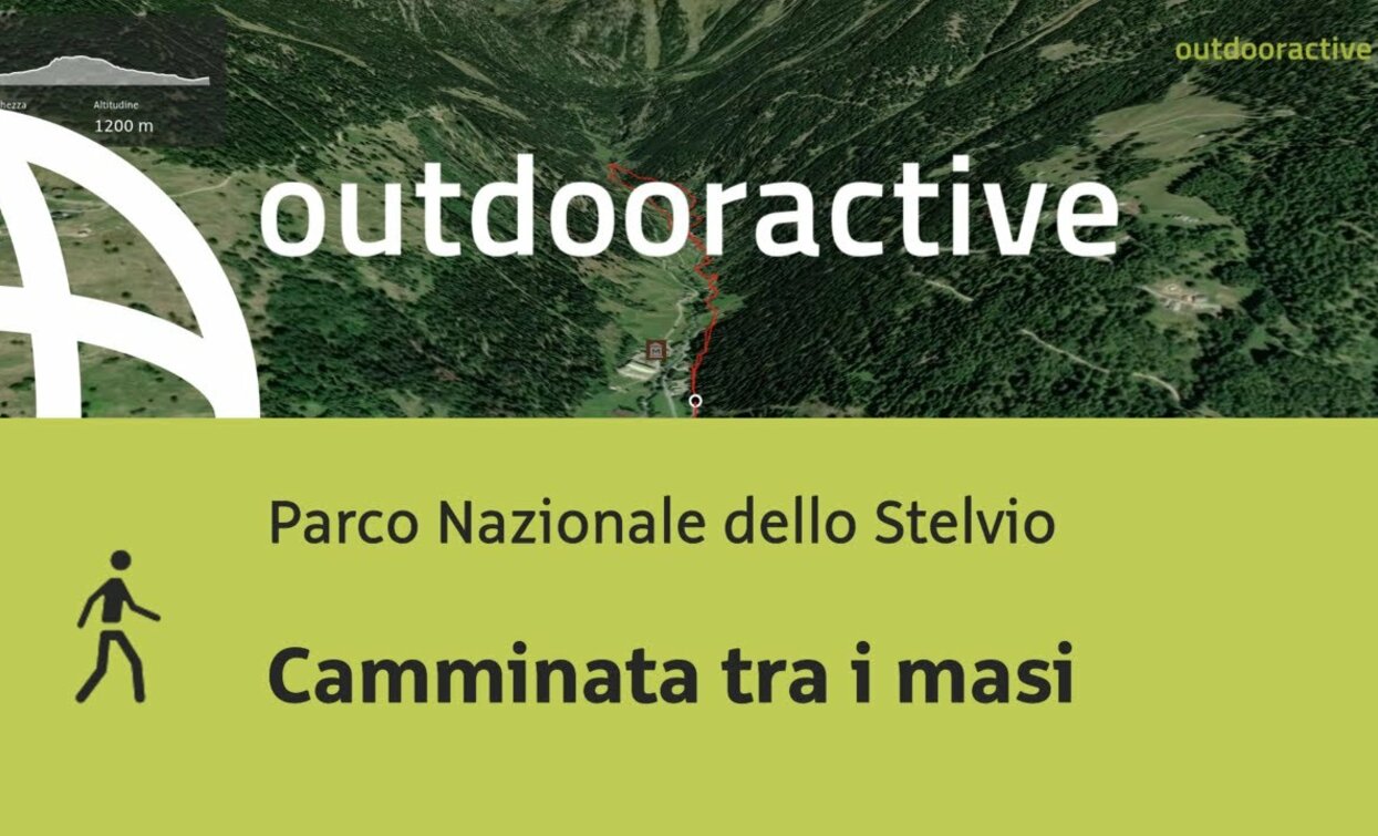 Escursione nel Parco Nazionale dello Stelvio: Camminata tra i masi | © Outdooractive – Flyover Videos