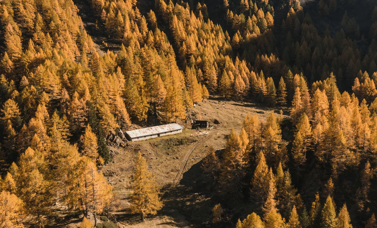 Lago di Pian Palù | © Giacomo Podetti, APT Valli di Sole, Peio e Rabbi