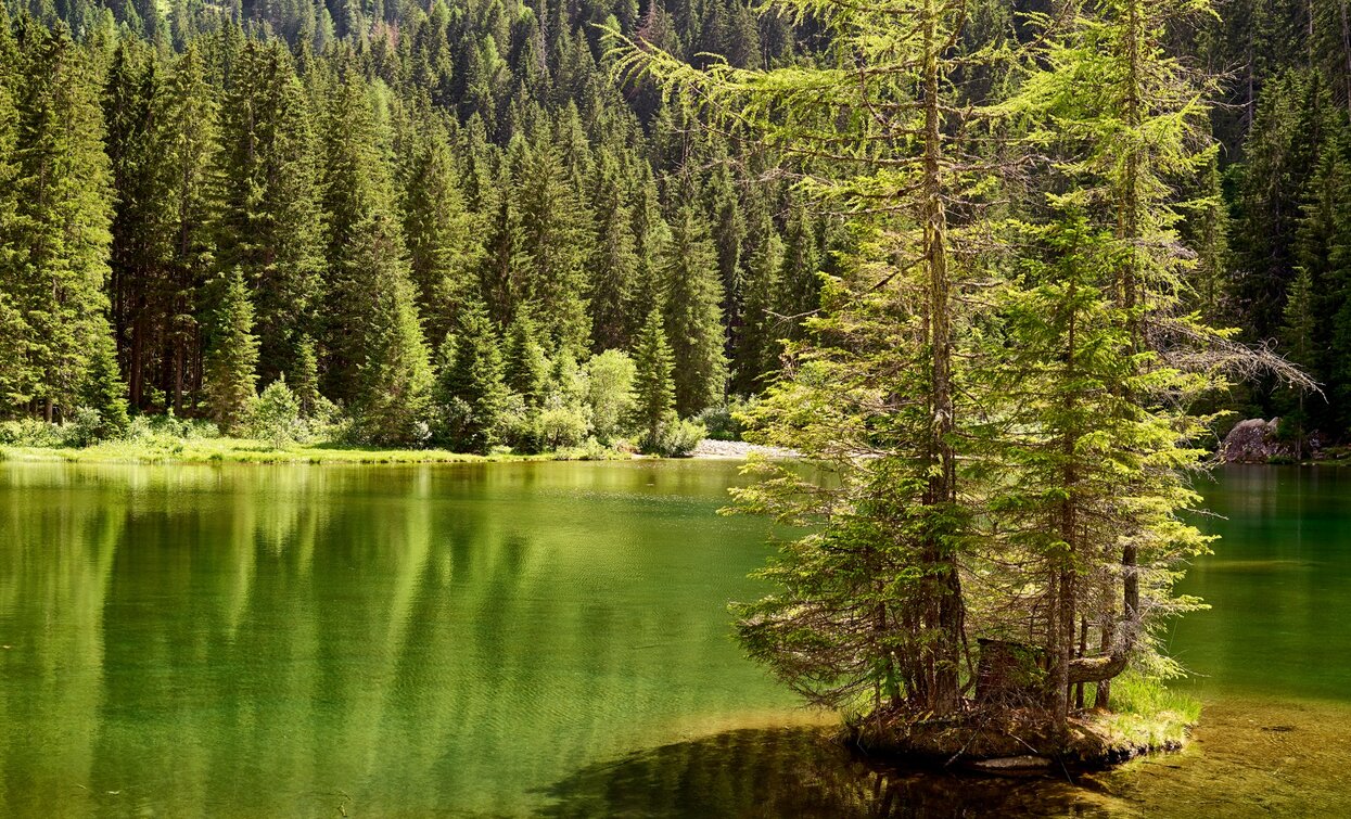 Lago dei Caprioli | © Carlo Baroni, APT Valli di Sole, Peio e Rabbi