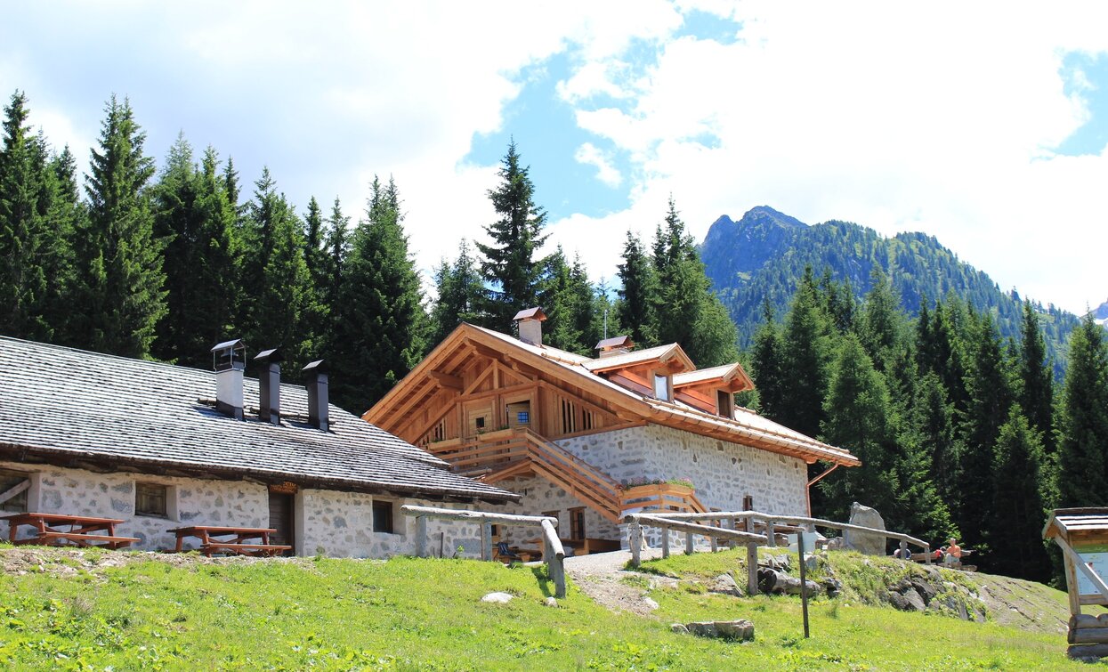 Malga Alta di Fazzon | © Azienda Turismo Val di Sole, APT Valli di Sole, Peio e Rabbi