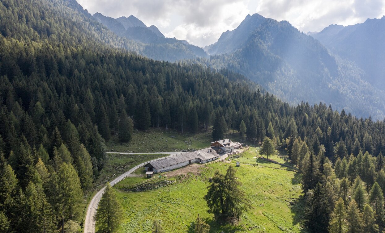 Malga Alta Fazzon | © Giacomo Podetti, APT Valli di Sole, Peio e Rabbi