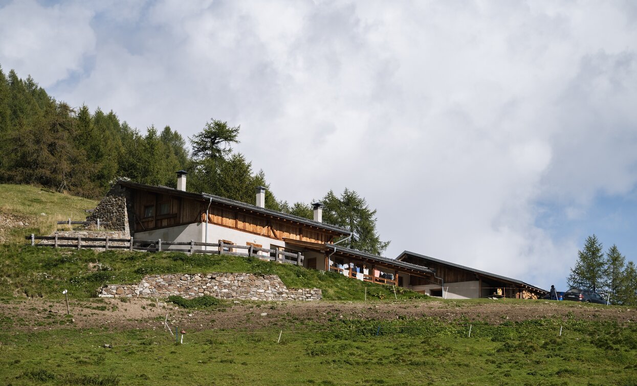 Malga Val Comasine | © Giacomo Podetti, APT Valli di Sole, Peio e Rabbi