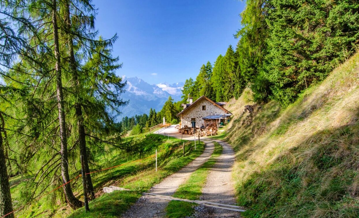 Malga Stabli | © Azienda Turismo Val di Sole, APT Valli di Sole, Peio e Rabbi