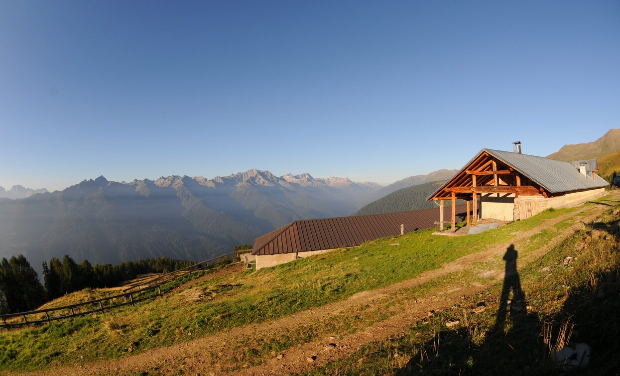 Malga Bronzolo | © T. Mochen, APT Valli di Sole, Peio e Rabbi