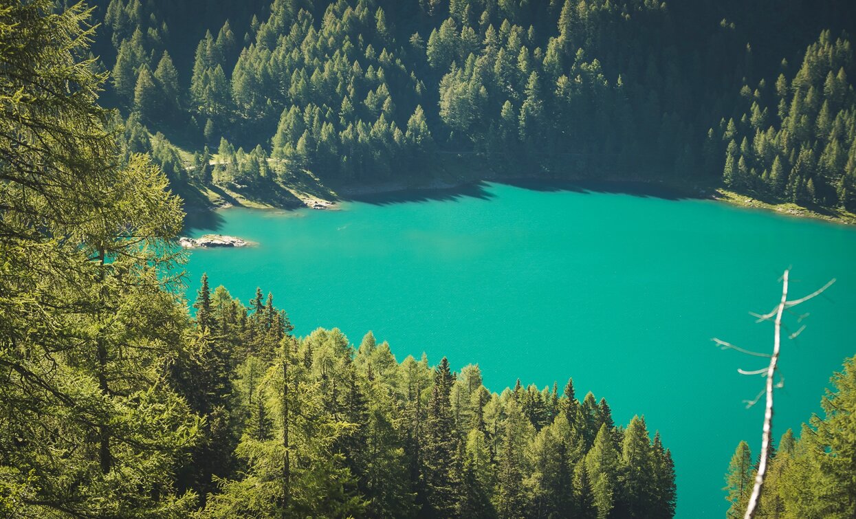 Lago Pian Palù | © Storytraveler, APT Valli di Sole, Peio e Rabbi